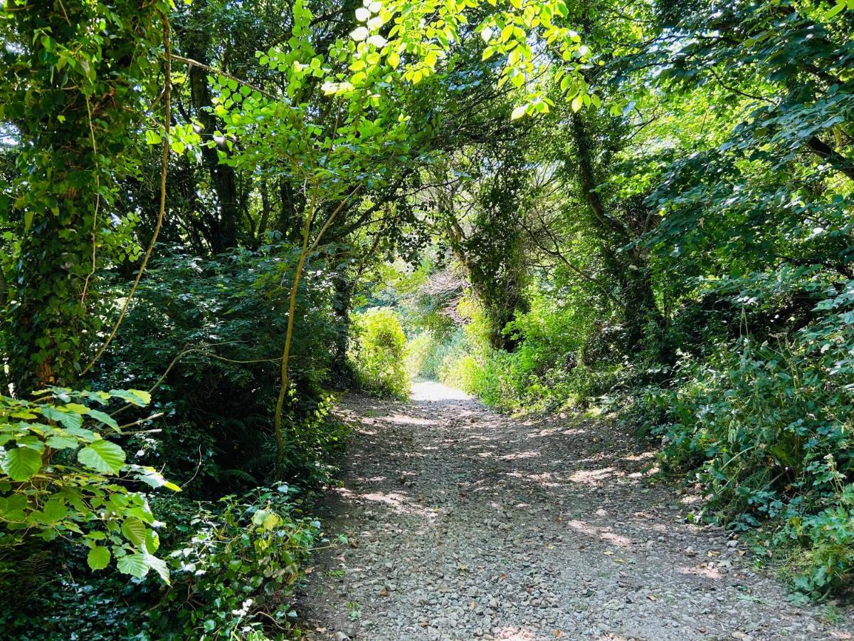 Kinetic Stays - Serenity Holiday Cottages Sidmouth Esterno foto