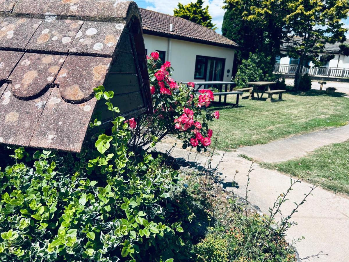 Kinetic Stays - Serenity Holiday Cottages Sidmouth Esterno foto
